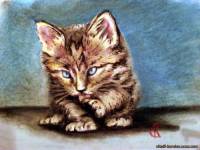 пастельный рисунок кота